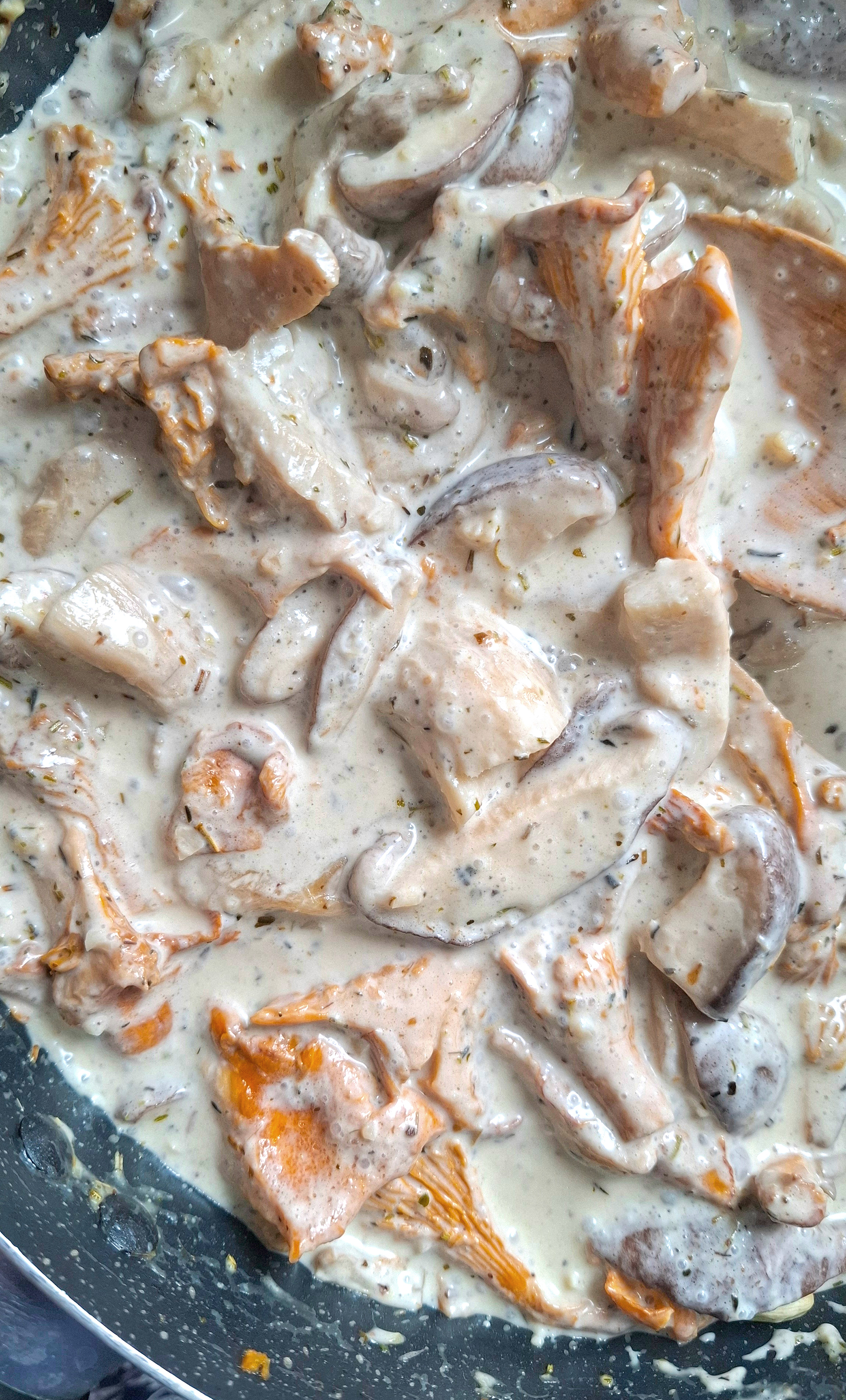 EASY DREAMY CREAMY MUSHROOM SAUCE