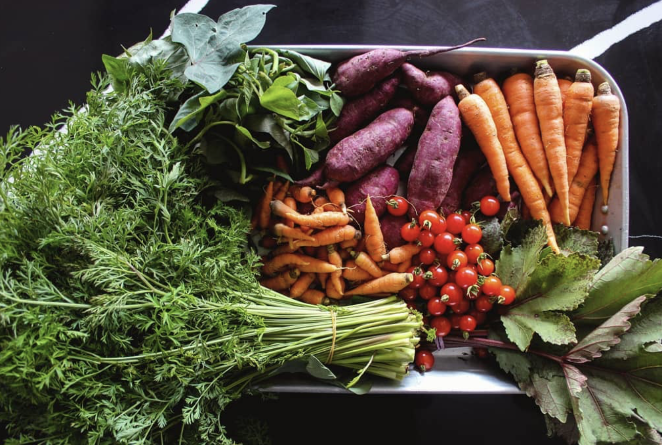 Why I Went Vegan (And Why You Should Stop Comparing Yourself to a Cow)