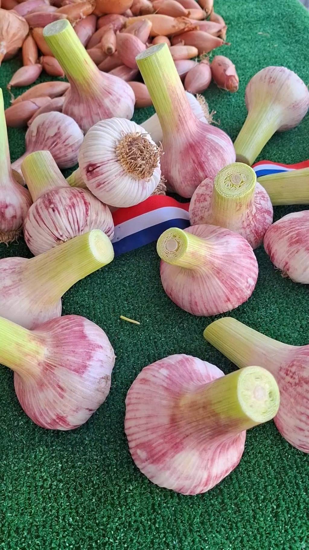 AIL NOUVEAU: France’s Tender Spring&nbsp;Treasure