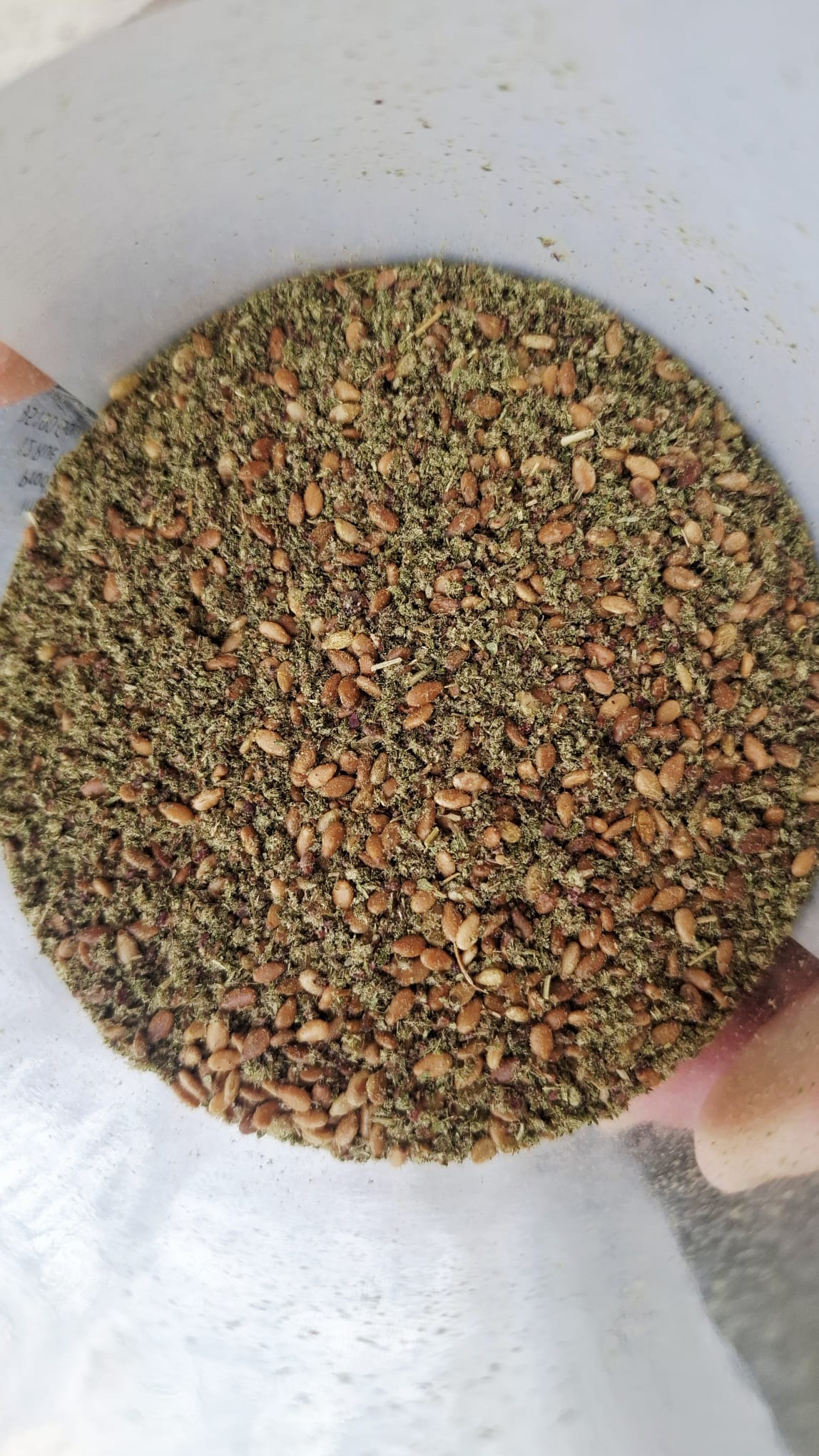 ZA’ATAR IS HAVING A MOMENT