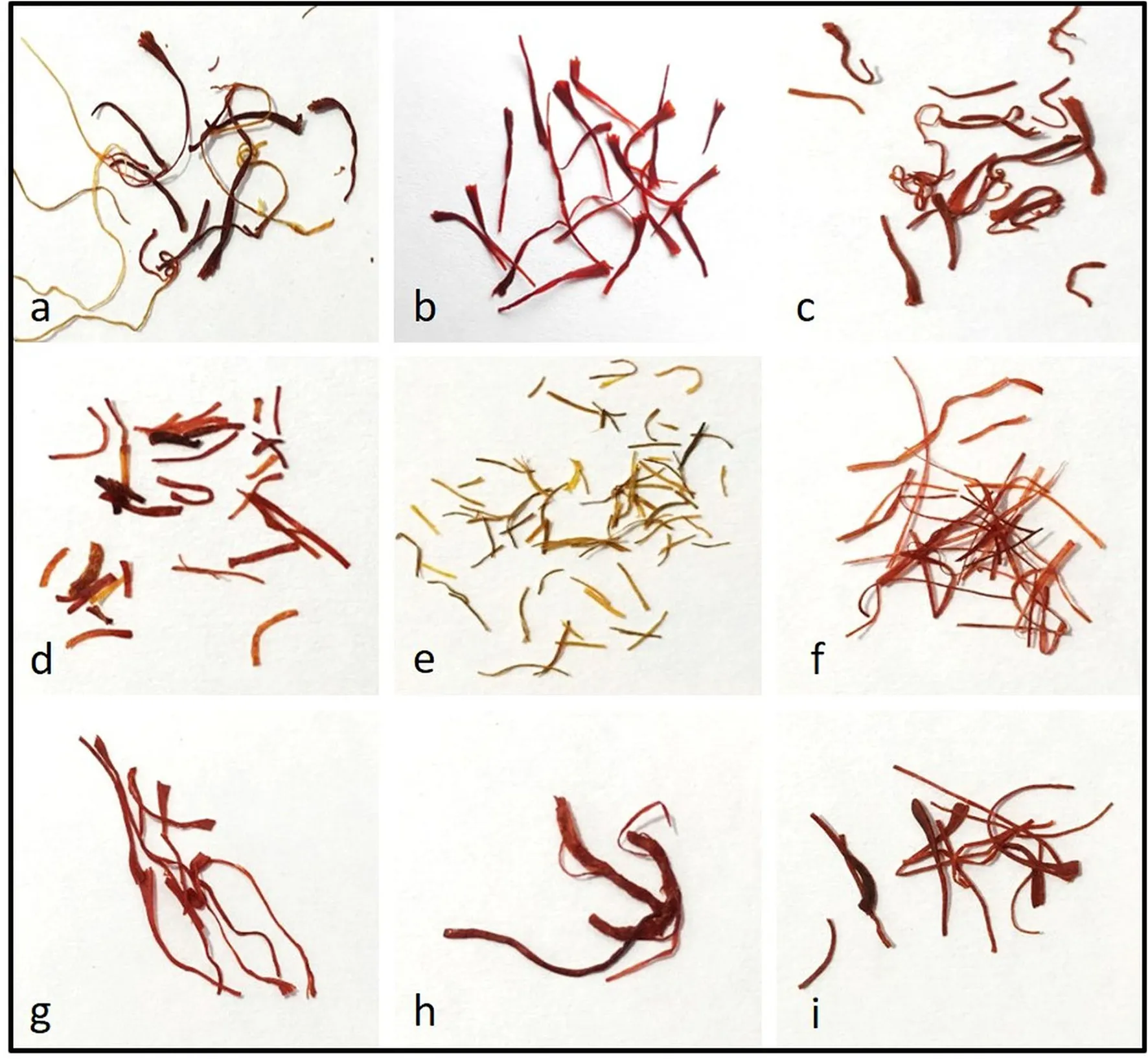 LET’S TALK ABOUT SAFFRON